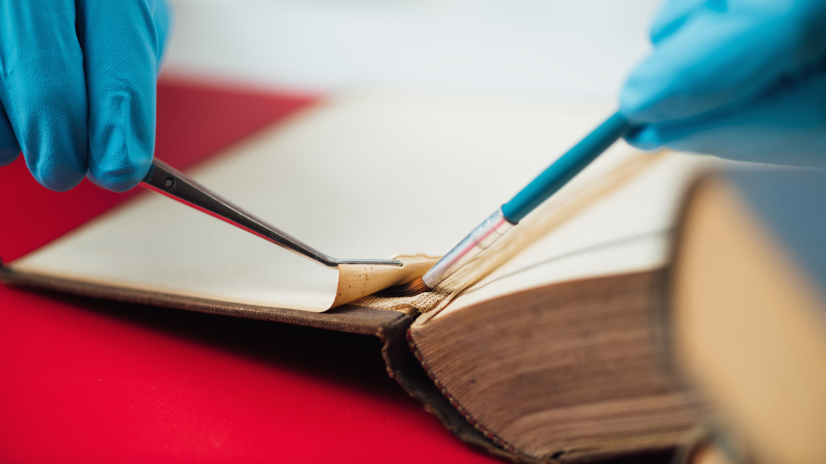 Klej żelatynowy | Naturalny sposób na trwałe połączenia