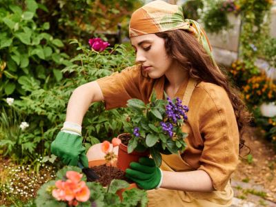 Nawóz z żelatyny – do kwiatów i nie tylko