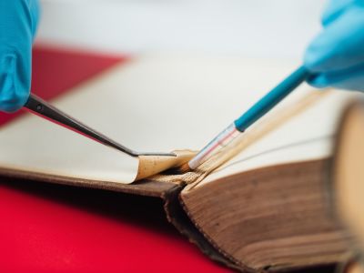 Klej żelatynowy | Naturalny sposób na trwałe połączenia